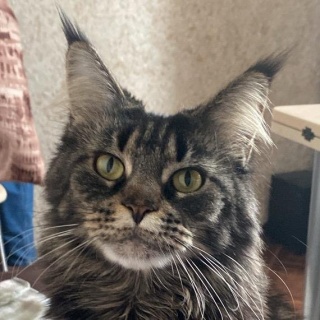 Ксения Л