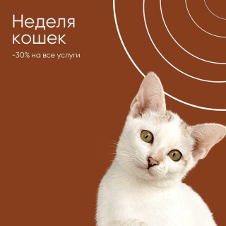 Татьяна Тишкина