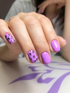 Фотография Ирис 4