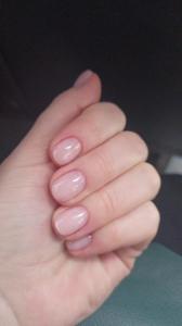 Фотография Сорока 0