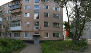 Фотография Шевелюра 4