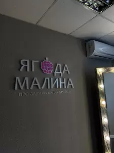 Фотография Ягода малина 2