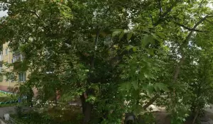 Фотография Парикмахерская 0