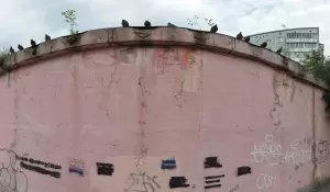 Фотография Совершенство 1