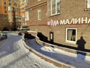 Фотография Ягода малина 5